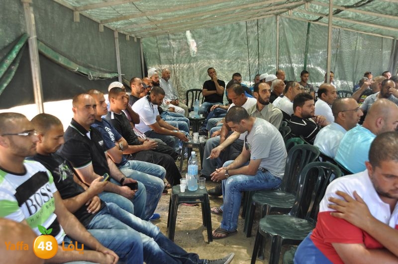 sol7desoqylud615 (17).JPG